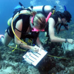 Marine Biology