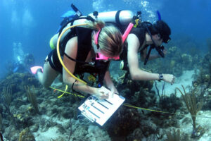 Read more about the article Marine Biology