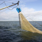 Cleanups with volunteer divers and equipment